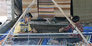 Tejsi Dhana Vankar 5